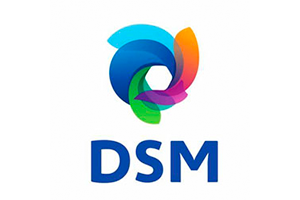 LP_LOGO_DSM